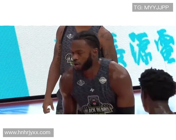 澳门黑熊vs战狼 澳门黑熊vs战狼